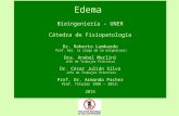 Edema Bioingeniería - UNER Cátedra de Fisiopatología Dr. Roberto Lombardo Prof. Adj. (a cargo de la asignatura) Dra. Anabel Merlini Jefe de Trabajos Prácticos.