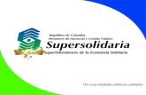 La experiencia de Colombia en los procesos de supervisión, autocontrol y modelos de Gobierno “ Seminario emprendimientos cooperativos, financiamiento.