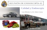 REUNIÓN DE ENDOSCOPÍA 02 21 de Julio de 2009 Luis Méndez A, Dr. Pablo Cortes Calidad y Endoscopía.