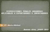 Dr. CP. Mario Bibiloni DISPOSICIONES PENALES ADUANERAS APLICABLES A EXPORTADORES E IMPORTADORES Buenos Aires, JUNIO 2013.
