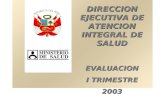 DIRECCION EJECUTIVA DE ATENCION INTEGRAL DE SALUD EVALUACION I TRIMESTRE 2003.