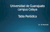 Universidad de Guanajuato campus Celaya Tabla Periódica Lic. En Nutrición.