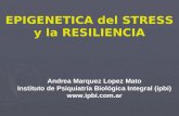 EPIGENETICA del STRESS y la RESILIENCIA Andrea Marquez Lopez Mato Instituto de Psiquiatría Biológica Integral (ipbi) .