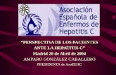 “PERSPECTIVA DE LOS PACIENTES ANTE LA HEPATITIS C” Madrid 20 de Abril de 2004 AMPARO GONZÁLEZ CABALLERO PRESIDENTA de AsoEEHC.