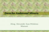 Derecho Ambiental Minero Abog. Alexander Joao Peñaloza Mamani.