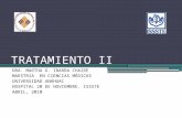 TRATAMIENTO II DRA. MARTHA G. IBARRA CHAIRE MAESTRIA EN CIENCIAS MÉDICAS UNIVERSIDAD ANÁHUAC HOSPITAL 20 DE NOVIEMBRE. ISSSTE ABRIL, 2010.
