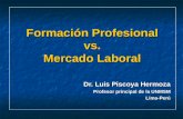 Formación Profesional vs. Mercado Laboral Dr. Luis Piscoya Hermoza Profesor principal de la UNMSM Lima-Perú.