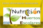 México 2010. Vitaminas Minerales Hidratos de carbono Fibra Agua Sustancias benéficas para la salud.