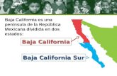 Baja California es una península de la República Mexicana dividida en dos estados: Baja California Baja California Sur.