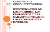 C APITULO 1.4 C ISCO N ETWORKING I DENTIFICACIÓN DE LOS NOMBRES, LOS PROPÓSITOS Y LAS CARACTERÍSTICAS DE LOS COMPONENTES INTERNOS.