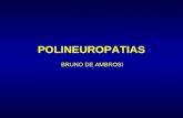 POLINEUROPATIAS BRUNO DE AMBROSI. ESTRATEGIA EN TIRO DE ESCOPETA Rutina de laboratorio Anticuerpos específicos Biopsia de nervio.