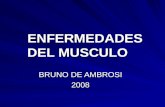 ENFERMEDADES DEL MUSCULO BRUNO DE AMBROSI 2008. DISTROFIAS MUSCULARES.