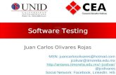 Software Testing Juan Carlos Olivares Rojas MSN: juancarlosolivares@hotmail.com jcolivar@itmorelia.edu.mx jcolivar/ @jcolivares.