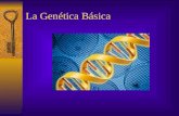 La Genética Básica. –Una característica que un ser viviente puede transmitir a su progenie es una característica hereditaria. –La transmisión de las características.