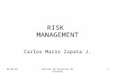 4/26/2015Gestión de Proyectos de Software1 RISK MANAGEMENT Carlos Mario Zapata J.