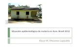 Situación epidemiológica de malaria en Acre, Brasil 2012 Oscar M. Mesones Lapouble Oscar M. Lapouble.