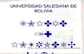 UNIVERSIDAD SALESIANA DE BOLIVIA UNIDAD 1: INTRODUCCIÓN Dra. Carla Paola Aparicio Barrenechea.