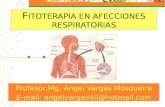 F ITOTERAPIA EN AFECCIONES RESPIRATORIAS Profesor,Mg. Angel Vargas Mosqueira E-mail: angelvargas40@hotmail.com.