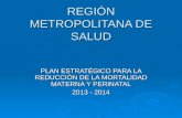 REGIÓN METROPOLITANA DE SALUD PLAN ESTRATÉGICO PARA LA REDUCCIÓN DE LA MORTALIDAD MATERNA Y PERINATAL 2013 - 2014.