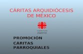 CÁRITAS ARQUIDIÓCESIS DE MÉXICO PROMOCIÓN CÁRITAS PARROQUIALES.