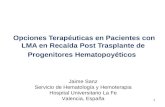 Jaime Sanz Servicio de Hematología y Hemoterapia Hospital Universitario La Fe Valencia, España 1 Opciones Terapéuticas en Pacientes con LMA en Recaída.