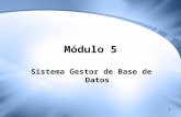 1 Módulo 5 Sistema Gestor de Base de Datos. 2 Objetivos Generales Implementar una base de datos Definir los campos, registros, tablas que se encuentran.