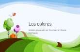 Los colores Módulo preparado por Gretchen M. Rivera Rodríguez.