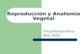 Reproducción y Anatomía Vegetal Tirtsa Porrata-Doria BIOL 3052.