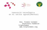 Innovació tecnològica en el sector agroalimentari Dra. Yvonne Colomer Directora Fundació Triptolemos .