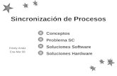 Sincronización de Procesos Conceptos Problema SC Soluciones Software Soluciones Hardware Emely Arráiz Ene-Mar 08.