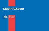 CODIFICADOR. Antecedentes Gobierno de Chile l Ministerio de Salud CODIFICADOR Departamento de Estadísticas e Información de Salud Antecedentes Indicadores.