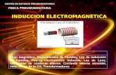 TEMAS Flujo magnético, Experimentos de Faraday, Ley de inducción de Faraday, Fuerza electromotriz inducida. Ley de Lenz, Generador de corriente alterna.