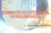 Dr. Winston Castañeda Vargas wcastaneda@esan.edu.pe.