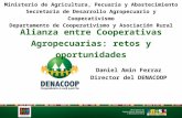 Alianza entre Cooperativas Agropecuarias: retos y oportunidades Ministerio de Agricultura, Pecuaria y Abastecimiento Secretaria de Desarrollo Agropecuario.