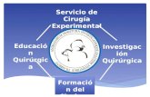 Servicio de Cirugía Experimental Educación Quirúrgica Investigación Quirúrgica Formación del Cirujano.