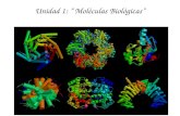 Unidad 1: “ Moléculas Biológicas”. ¿ que observamos en estas fotografías? ¿ Están todos formados por los mismos átomos?
