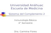 Universidad Anáhuac Escuela de Medicina Sistema del Complemento 2 Inmunología Básica 4° Semestre Dra. Carmina Flores Domínguez.