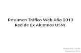 Resumen Tráfico Web Año 2013 Red de Ex Alumnos USM Alessandra Castillo Febrero de 2014.