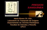 PRESION SANGUÍNEA María Rivera Ch. DSc. Laboratorio de Transporte de Oxígeno Departamento de Ciencias Fisiológicas Facultad de Ciencias y Filosofía UPCH.