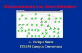 Razonamiento con Incertidumbre L. Enrique Sucar ITESM Campus Cuernavaca.