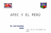 APEC Y EL PERÚ Dr. Luis Icochea Salas LIMA, 09 DE SETIEMBRE DEL 2008.