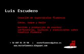 Luis Escudero Creación de espectáculos flamencos Cante, toque y baile Gestión y producción de eventos: conferencias, talleres y exposiciones sobre temática.