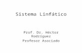 Sistema Linfático Prof. Dr. Héctor Rodríguez Profesor Asociado.