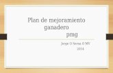 Plan de mejoramiento ganadero pmg Jorge O Serna O MV 2014.