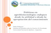 Políticas en agrobiotecnología: enfoques desde la utilidad o desde la apropiación del conocimiento Pablo Pellegrini Instituto de Estudios sobre la Ciencia.
