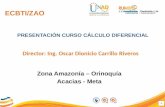 ECBTI/ZAO PRESENTACIÓN CURSO CÁLCULO DIFERENCIAL Director: Ing. Oscar Dionicio Carrillo Riveros Zona Amazonía – Orinoquía Acacias - Meta.