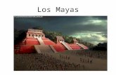 Los Mayas. Los mayas fueron uno de los primeros grupos importantes en Mesoamérica. Tenían muchas ciudades grandes. No tenían capital.