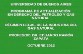 - 0 - UNIVERSIDAD DE BUENOS AIRES PROGRAMA DE ACTUALIZACIÓN EN DERECHO DEL PETROLEO Y GAS NATURAL RÉGIMEN LEGAL DE LA INDUSTRIA DEL GAS NATURAL PROFESOR: