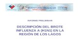 INFORME PRELIMINAR DESCRIPCIÓN DEL BROTE INFLUENZA A (H1N1) EN LA REGIÓN DE LOS LAGOS SEREMI LOS LAGOS.