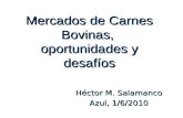 Mercados de Carnes Bovinas, oportunidades y desafíos Héctor M. Salamanco Azul, 1/6/2010.